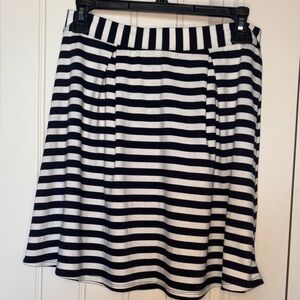 Striped A-Line Skirt in Navy and White